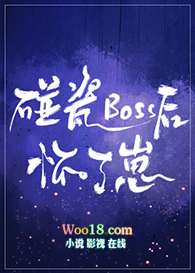 碰瓷boss后怀了崽